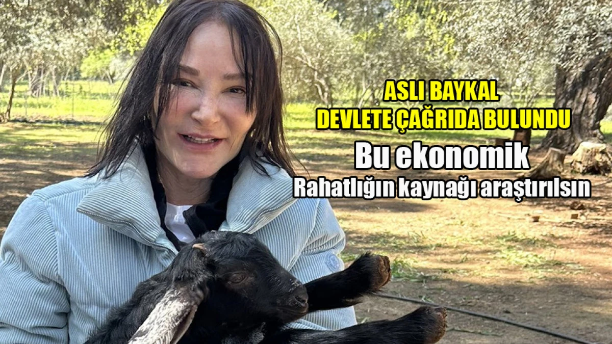 Aslı Baykal: Bu ekonomik rahatlığın kaynağı araştırılsın