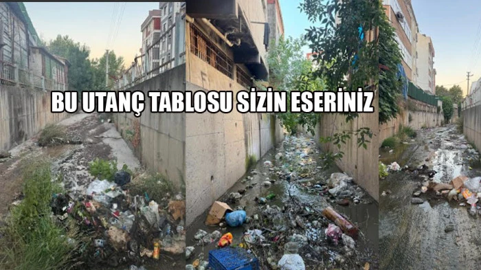 Bu utan&ccedil; tablosunu sizin eseriniz