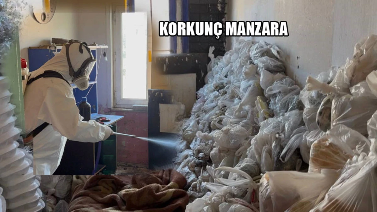 &Ccedil;&ouml;p evin altından dram &ccedil;ıktı