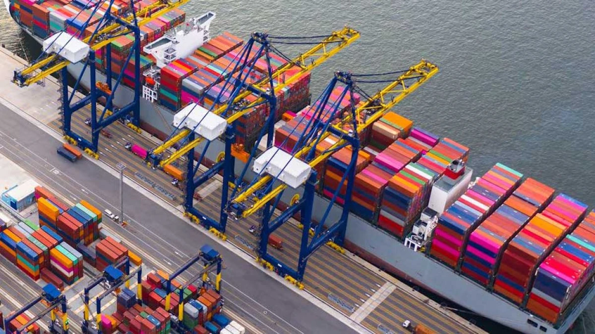  Forwarder&rsquo;lar operasyonel s&uuml;re&ccedil;leri nasıl y&ouml;netiyor
