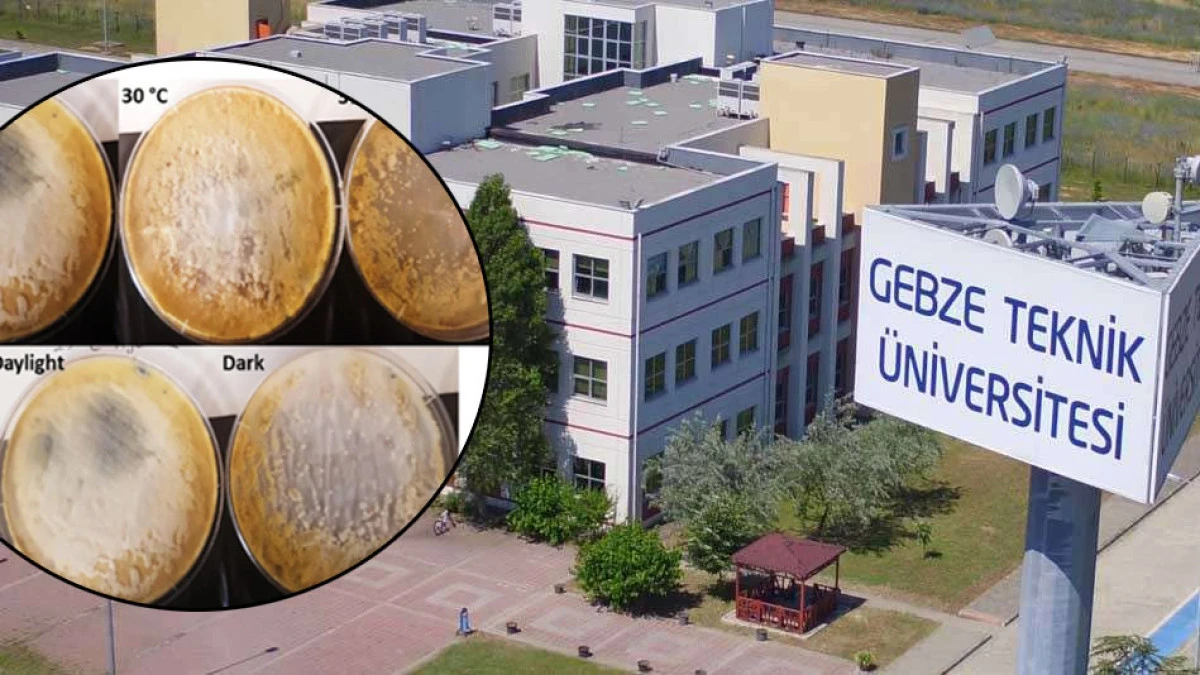 Gebze Teknik &Uuml;niversitesinden b&uuml;y&uuml;k başarı