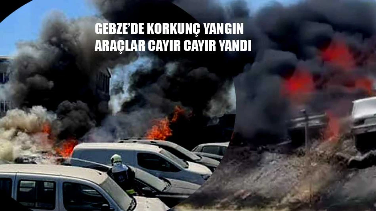 Gebze'de yangın felaketi. Ara&ccedil;lar alevlere teslim oldu