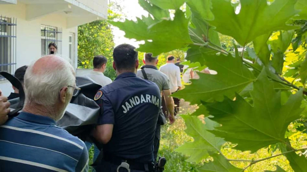  Ihlamur toplamak i&ccedil;in &ccedil;ıktığı ağa&ccedil;tan d&uuml;şerek hayatını kaybetti