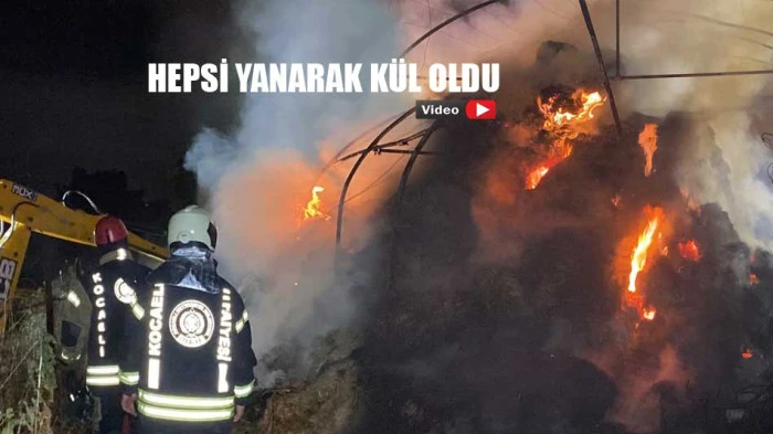 İzmit'teki yangında hepsi k&uuml;le d&ouml;nd&uuml;
