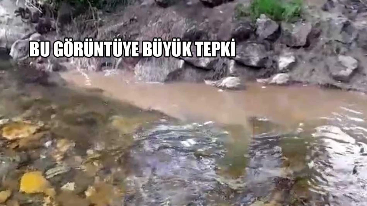 Vatandaşlardan bu g&ouml;r&uuml;nt&uuml;ye sert tepki 