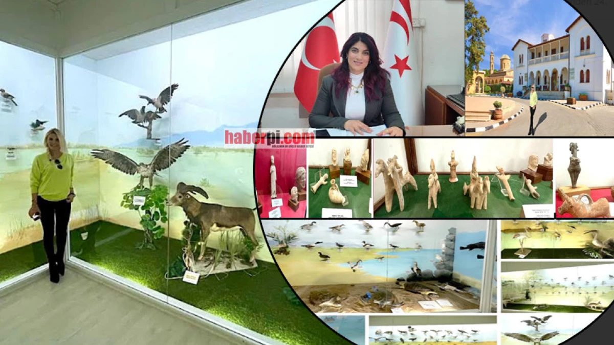 Kıbrıs'ın doğal ve tarihi k&uuml;lt&uuml;rel mirası bu m&uuml;zede
