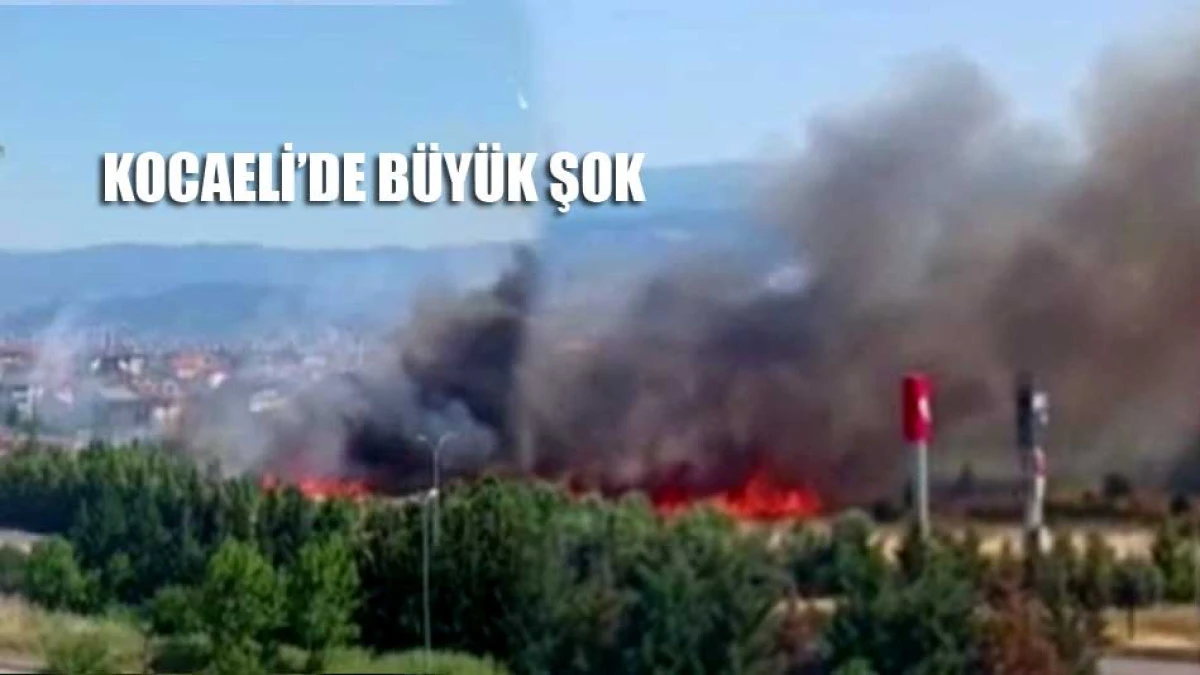 Kocaeli'de korku dolu anlar. T&uuml;m mahalleyi sardı