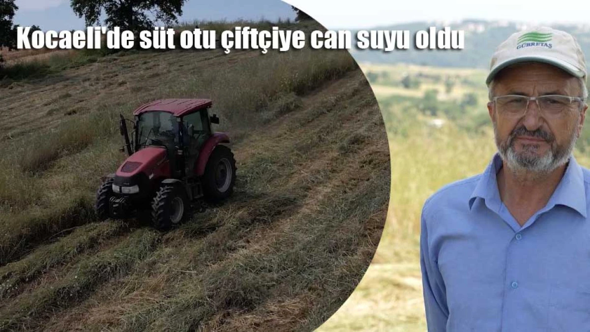 Kocaeli'de s&uuml;t otu &ccedil;ift&ccedil;iye can suyu oldu