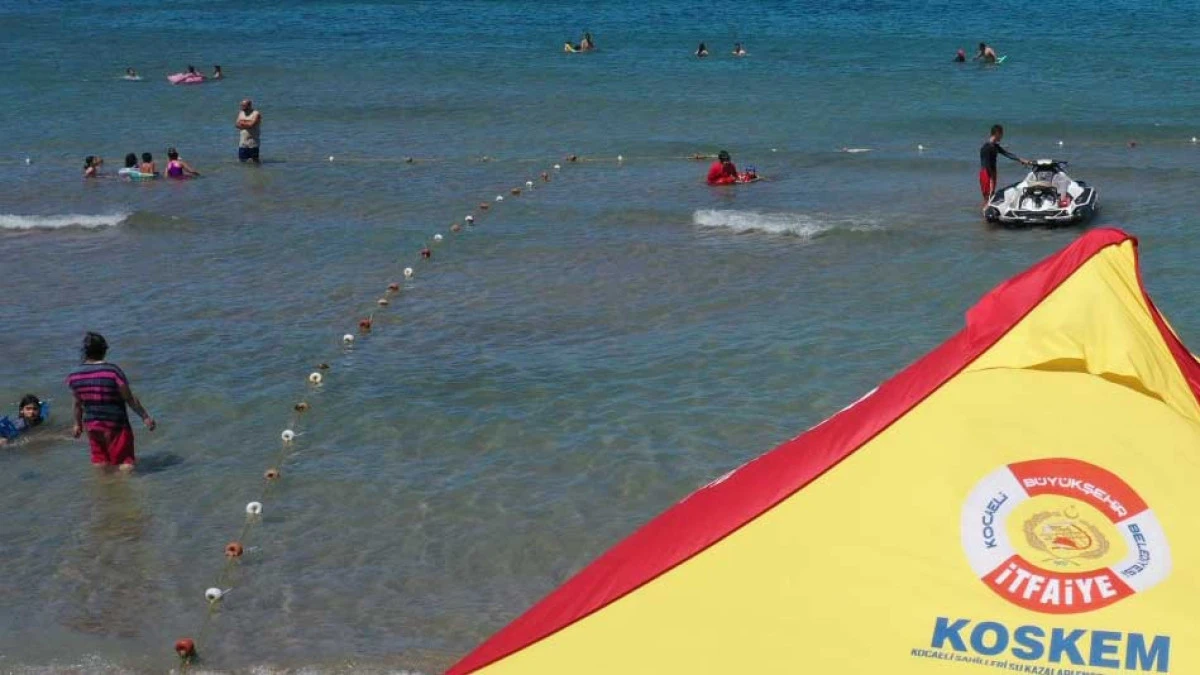 Kocaeli'deki plajlarda korkutan rakam