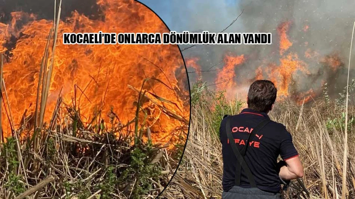 Kocaeli'deki sazlık alanda b&uuml;y&uuml;k yangın