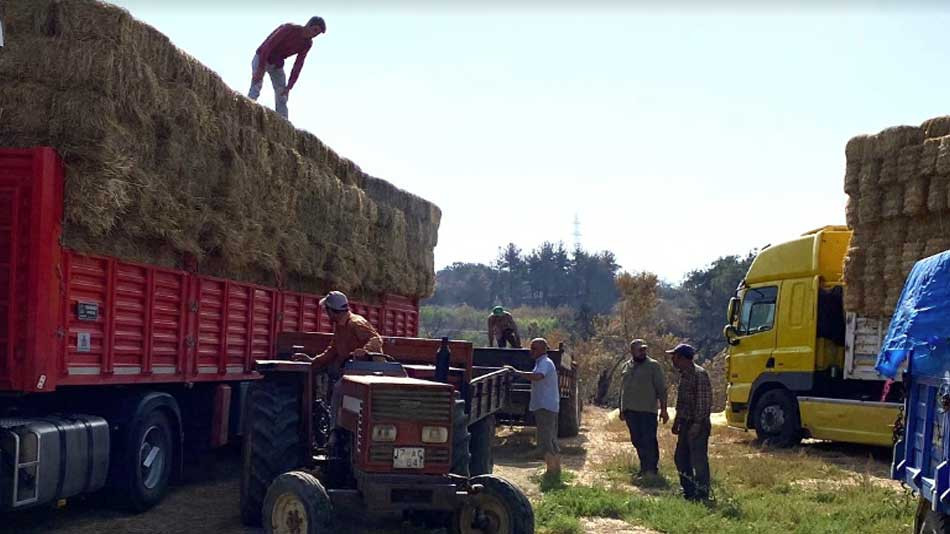 Kocaeli’den, Çanakkale’deki mağdur  çiftçilere destek