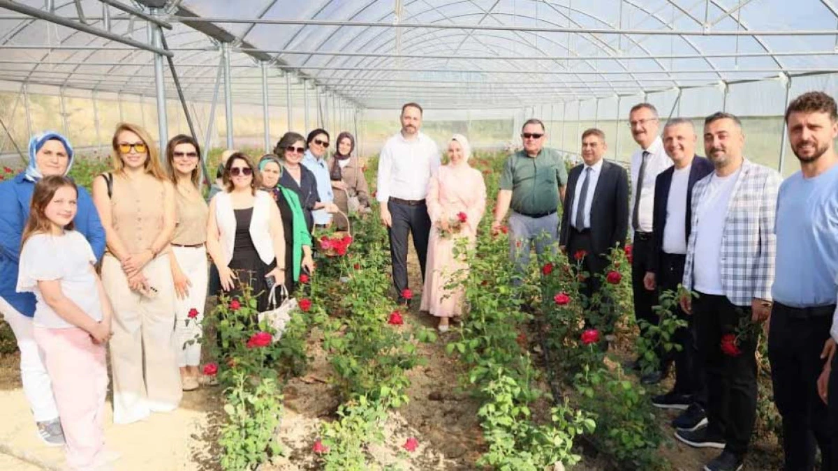 Kocaeli&rsquo;nin ilk g&uuml;l serasında hasat sevinci