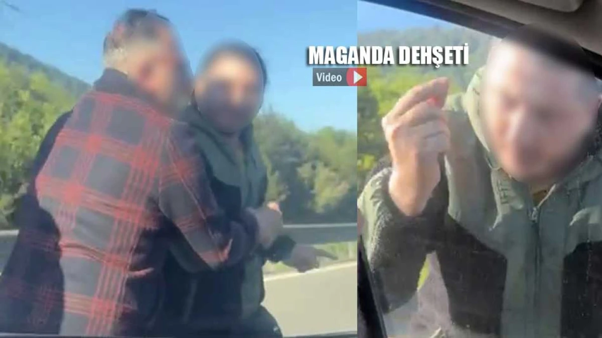 O s&uuml;r&uuml;c&uuml;n&uuml;n ehliyetine el konuldu para cezası verildi