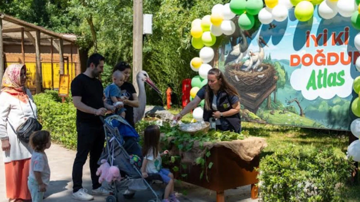 Ormanya&rsquo;da yavru leylek Atlas&rsquo;a s&uuml;rpriz kutlama