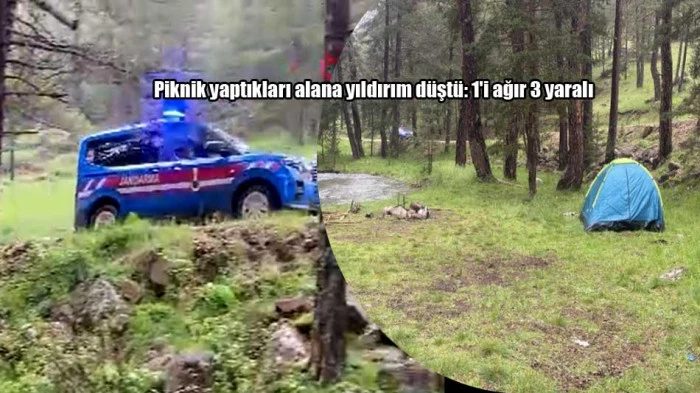 Piknik yaptıkları alana yıldırım d&uuml;şt&uuml;
